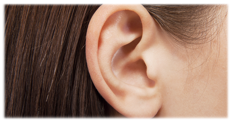 濰樂聽力中心 聽力種類